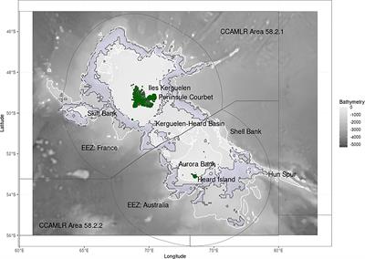 Assessing the potential for resource competition between the Kerguelen Plateau fisheries and southern elephant seals